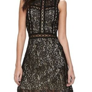 Disney Beauty and the Beast black lace sleeveless shift dress size M